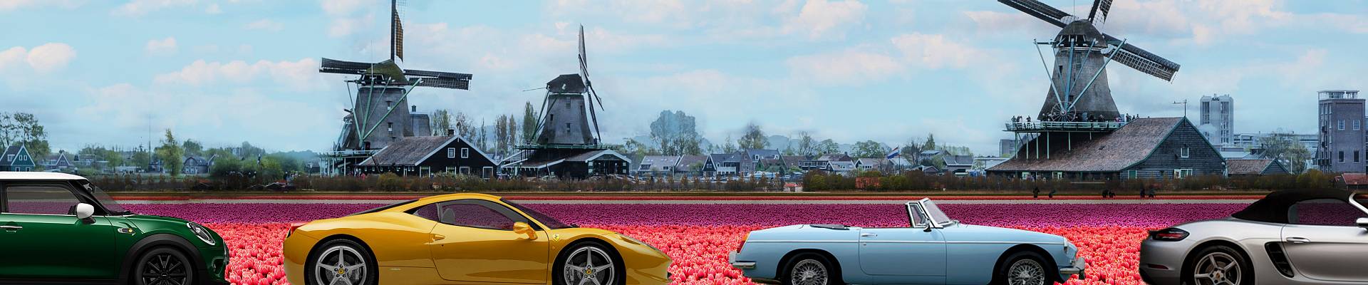 carteam rally website header