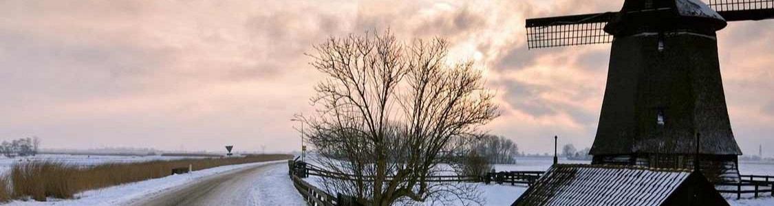auto winterbanden