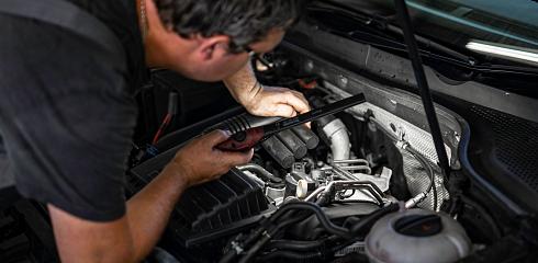 motor inspectie
