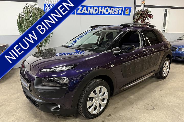 Citroën C4 Cactus 1.2 PureTech Business Plus