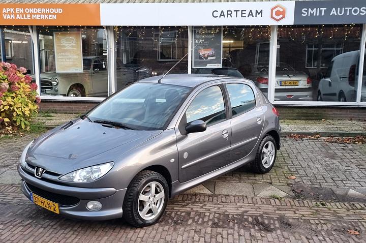 Peugeot 206 1.4 Génération LMV electr ramen mistlampen