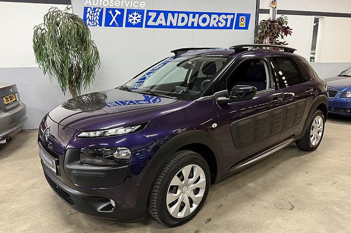 Citroën C4 Cactus 1.2 PureTech Business Plus