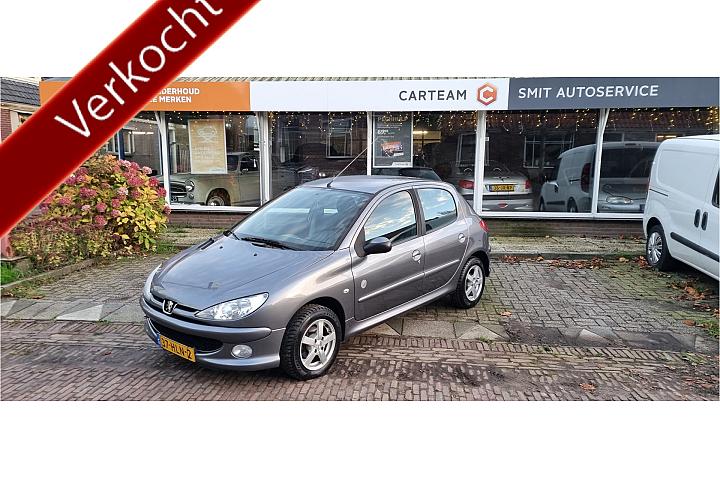 Peugeot 206 1.4 Génération LMV electr ramen mistlampen