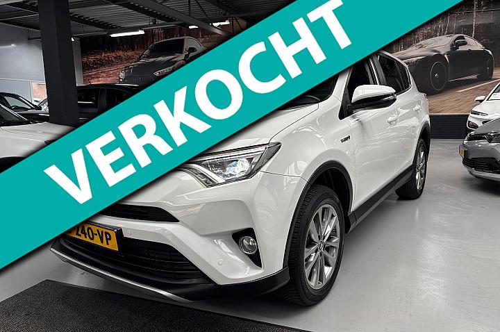 Toyota RAV4 2.5 Hybrid Executive Business /Camera / Navigatie